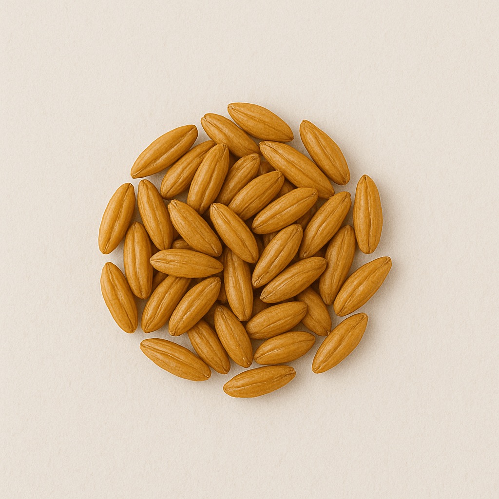 AVENA SATIVA KERNEL EXTRACT